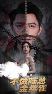 �����������½�ܽ�˿ȸ