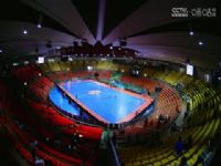 ���������ޱ������� ������VS������ 20240426