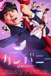 Company~��ת������~