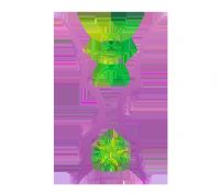 �������ޱ� ����vs�ձ�20250808