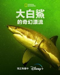 ���������Ư��