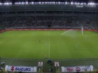 ���������һ�� ����VS��ɭ�� 20240812