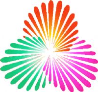 ȫ�˻�Ů���ʸ��� B��-����62-61����20250810