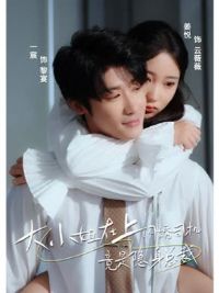 ��С����������˾�����������ܲ�